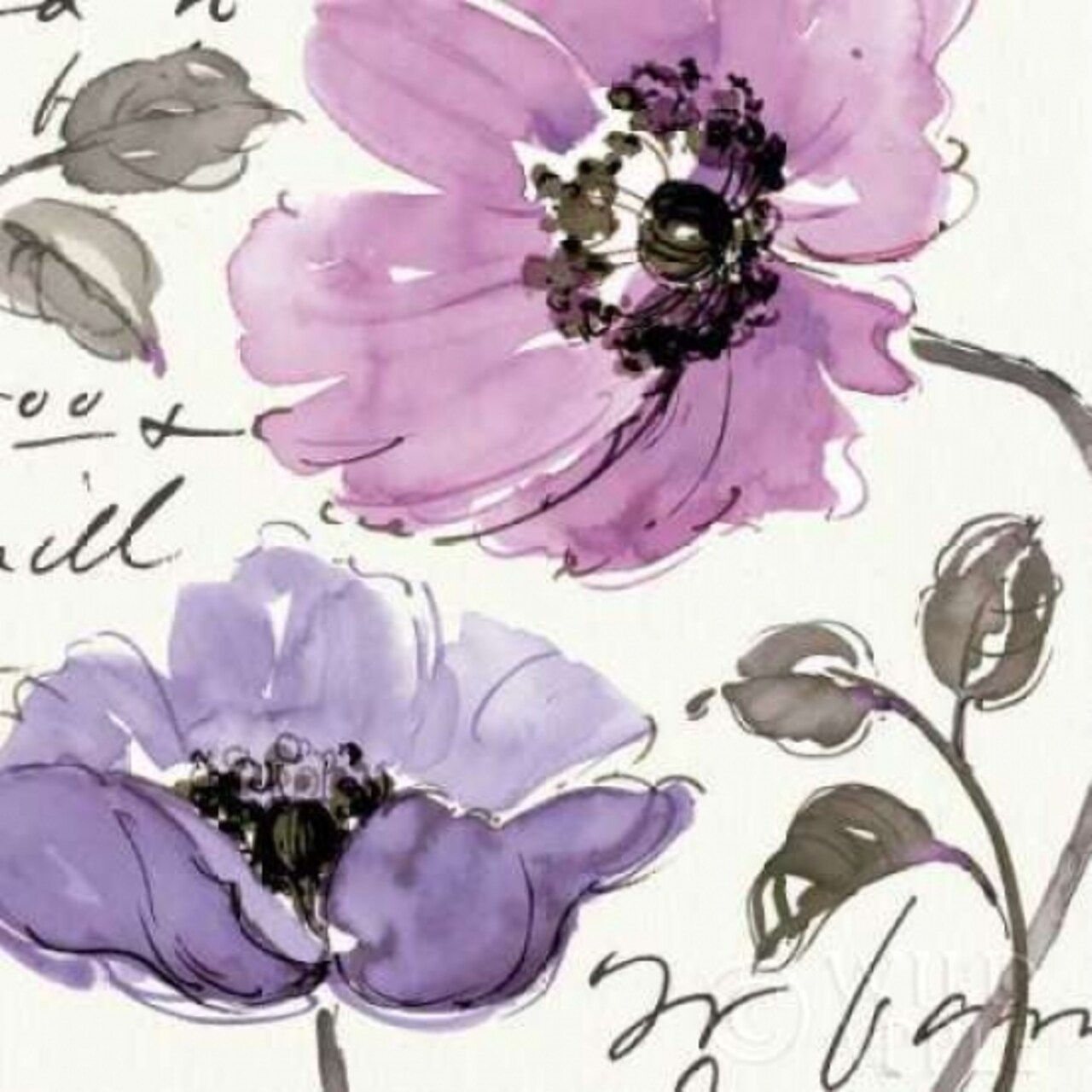 Floral Waltz Plum I Poster Print by Pela Studio - Item # VARPDX8095